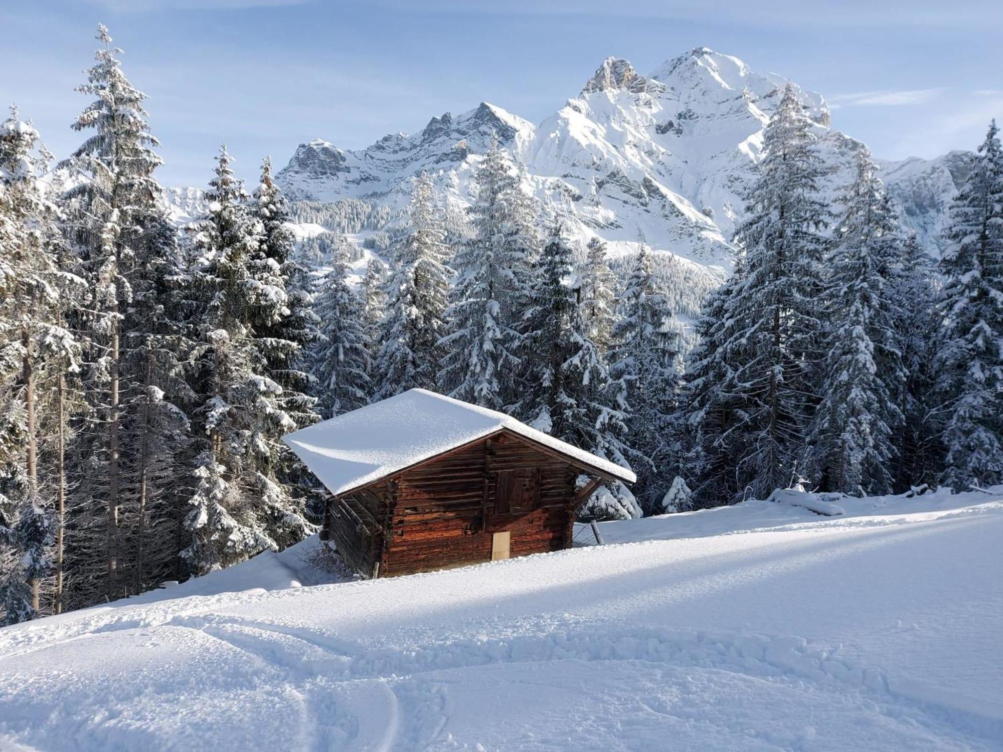 Apartment Laerchehuus By Interhome Adelboden Luaran gambar