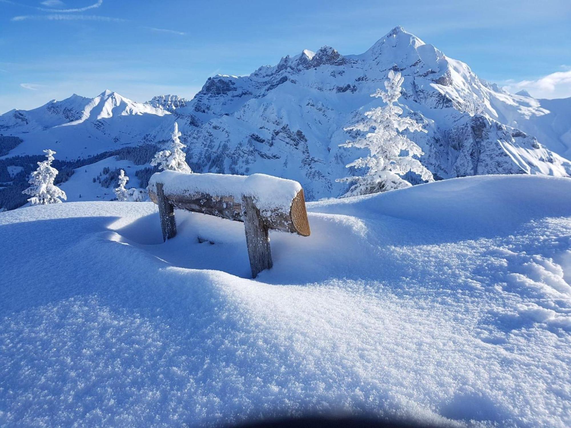 Apartment Laerchehuus By Interhome Adelboden Luaran gambar
