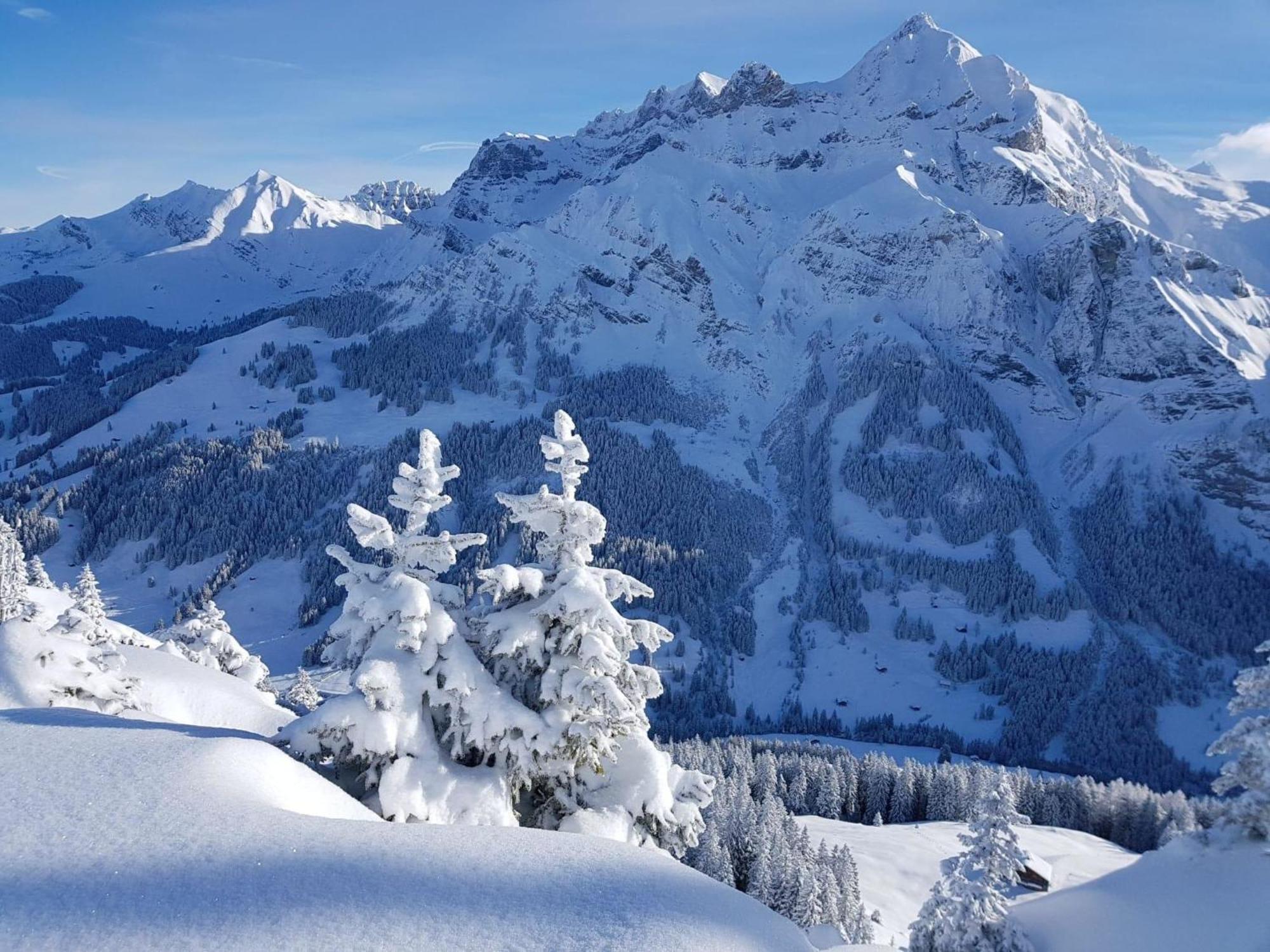 Apartment Laerchehuus By Interhome Adelboden Luaran gambar
