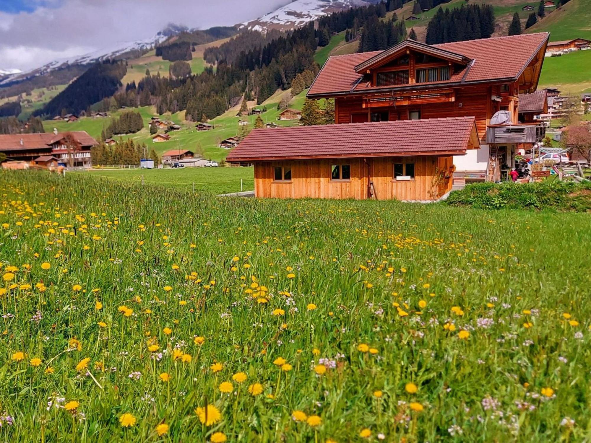 Apartment Laerchehuus By Interhome Adelboden Luaran gambar