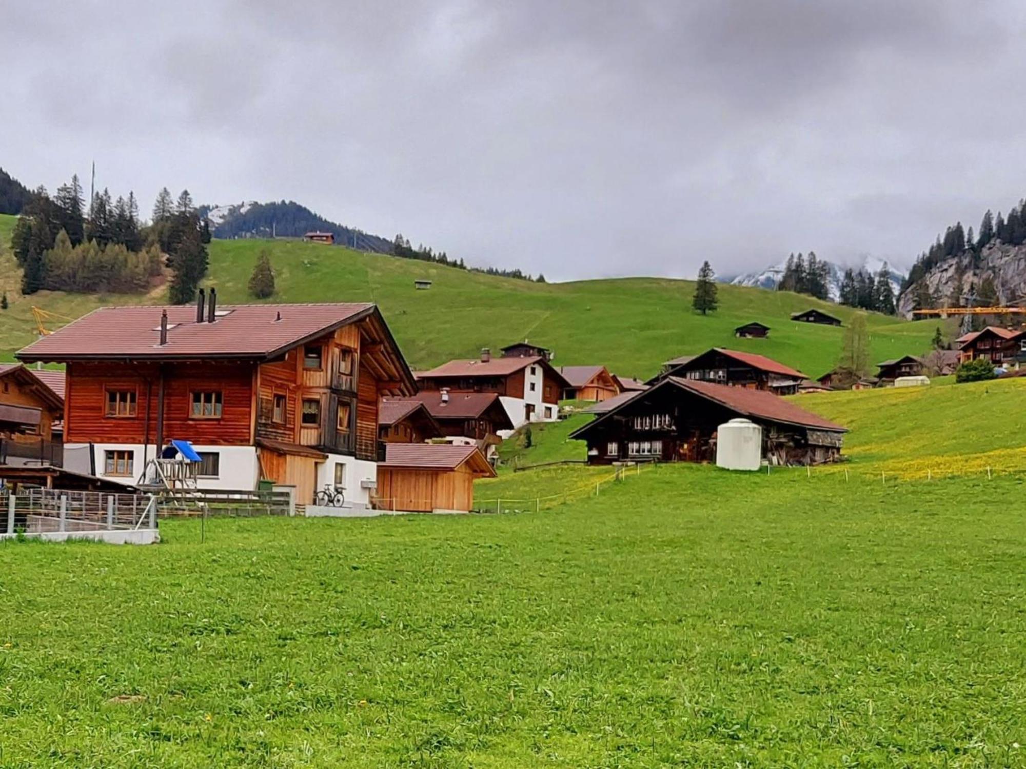 Apartment Laerchehuus By Interhome Adelboden Luaran gambar